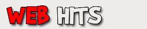 Web Hits